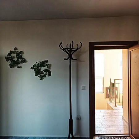 боровата къща