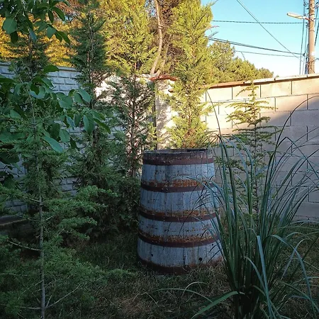 боровата къща Guest house