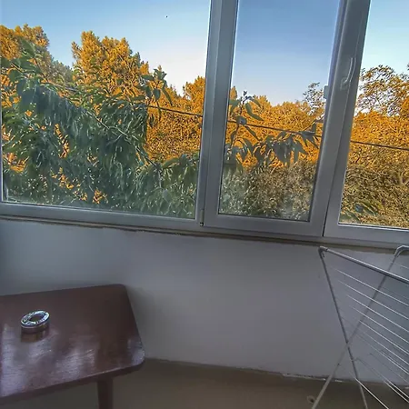 боровата къща Varna