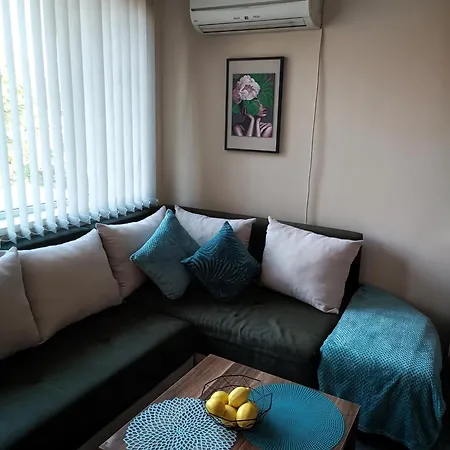 боровата къща *