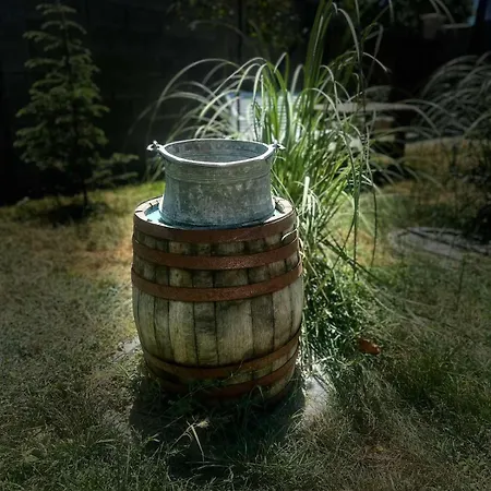 боровата къща