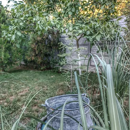 боровата къща Guest house