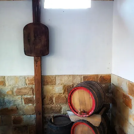 боровата къща * Varna