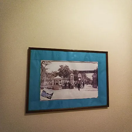 Guest house боровата къща *