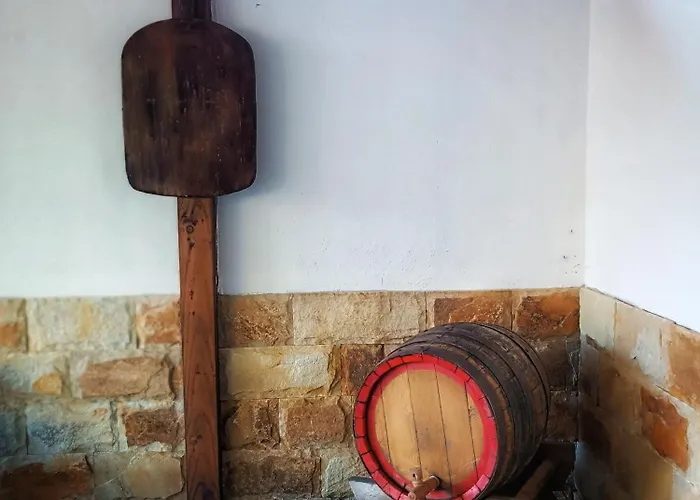 боровата къща * Várna