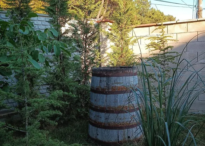 боровата къща Vendégház